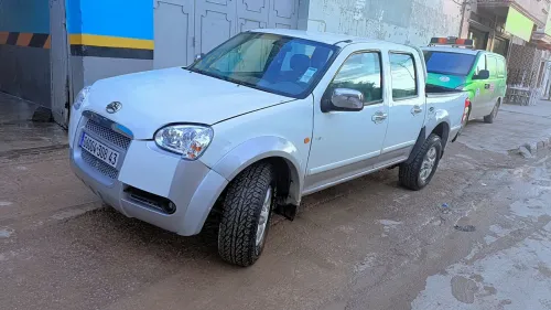 Great Wall Peri 2008 Peri