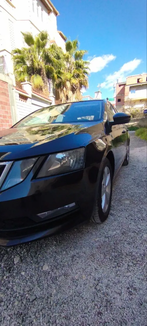 Skoda Octavia 2019 Business