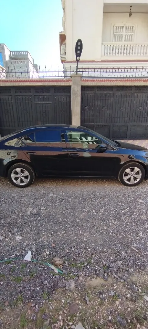 Skoda Octavia 2019 Business