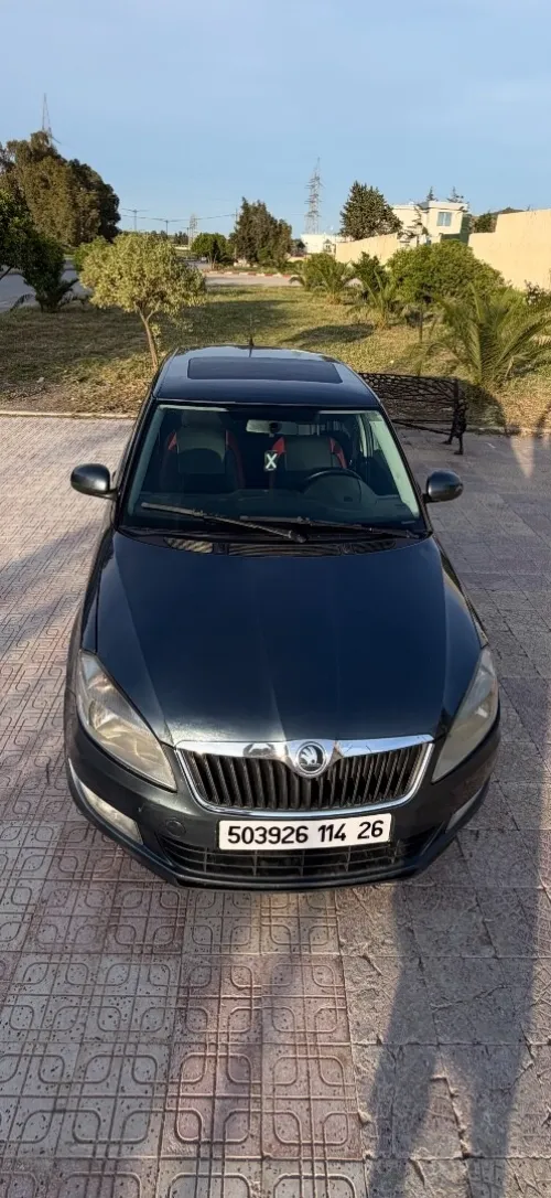 Skoda Fabia 2014 Fresh