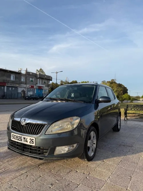 Skoda Fabia 2014 Fresh