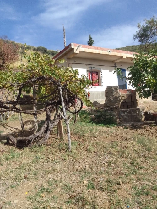 Vente Terrain Sétif Ain legraj