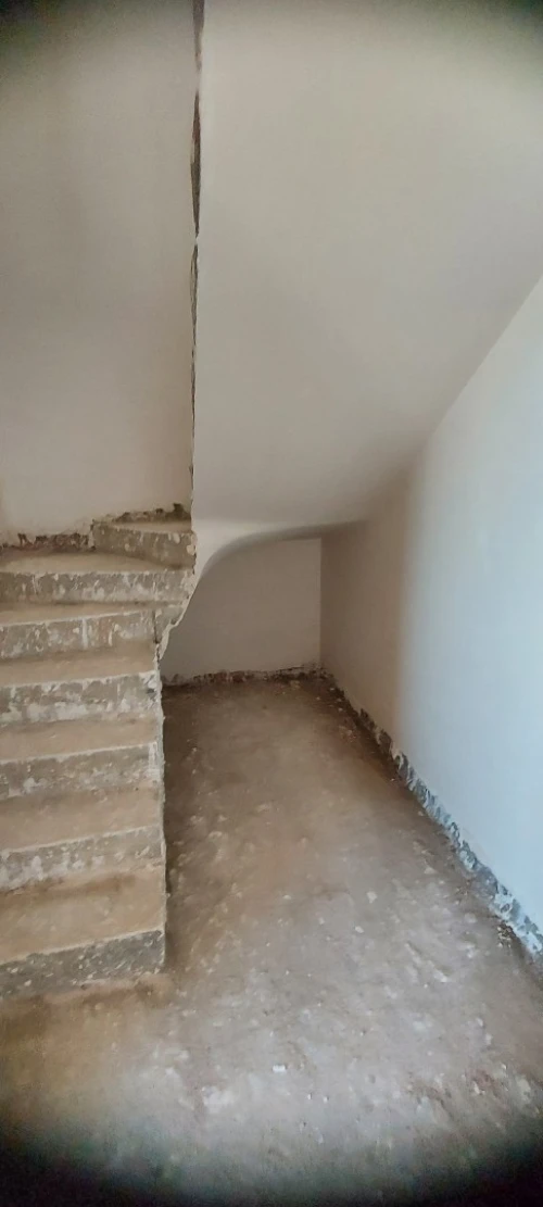 Travaux de plâtre  projeter  prochti
