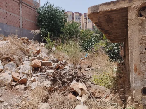 Vente Terrain Tlemcen Chetouane