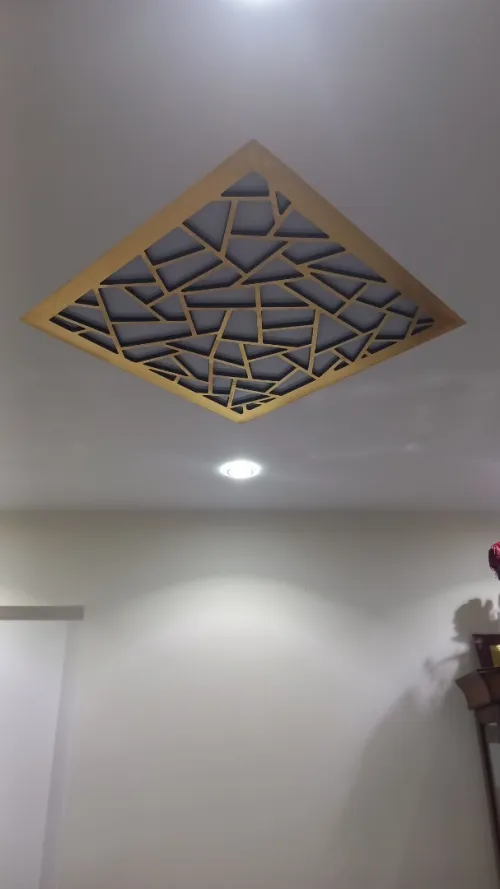 placoplatre faux plafond BA13 et PVC -