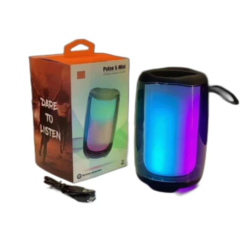 HAUT PARLEUR PORTABLE BLUETOOTH SANS FIL