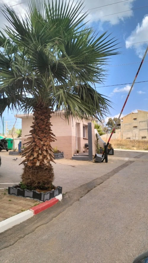 Location Appartement F6 Alger Cheraga