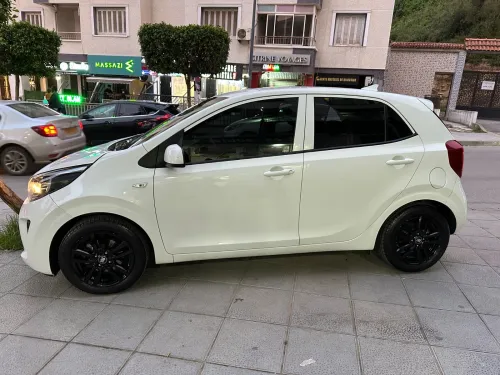 Kia Picanto 2025 Picanto