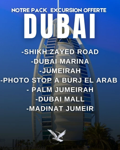 VOYAGE ORGANISE DUBAI