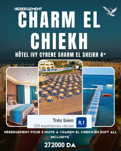voyage organise cairo + sharm el sheikh - new year