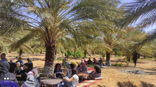 VOYAGE ORGANISE A BISKRA - SPECIAL YENNAYER