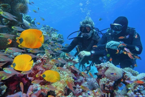  Voyage organisé en Egypte ( Caire & Sharm El Sheikh)