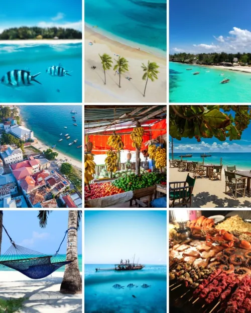 Voyage organise a ZANZIBAR 