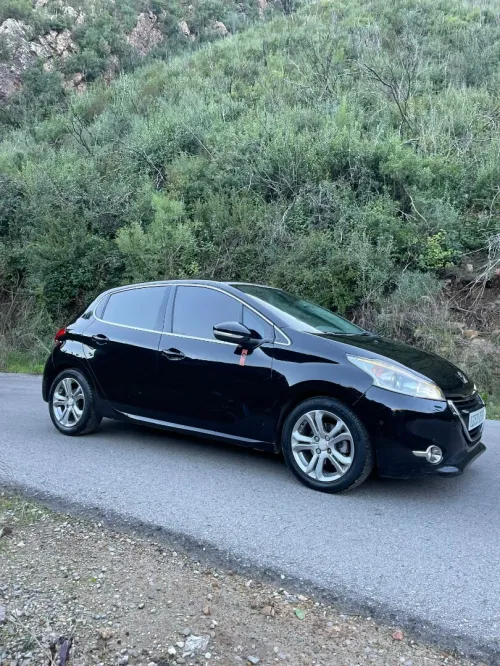 Peugeot 208 2015 Roland Garros