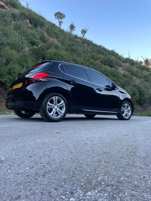 Peugeot 208 2015 Roland Garros
