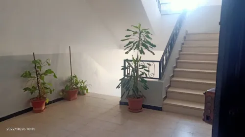 Location Appartement F3 Béjaïa Tichy