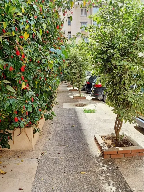 Vente Appartement Duplex F5 Béjaïa Bejaia