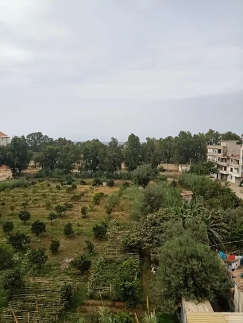 Location Appartement F2 Bejaia Melbou