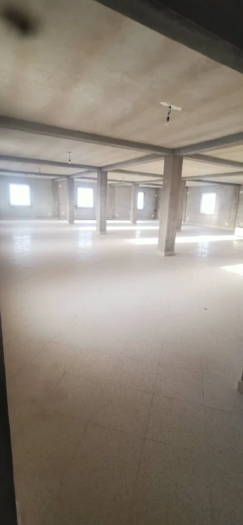 Location Immeuble Alger Staoueli
