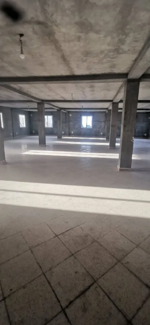 Location Immeuble Alger Staoueli