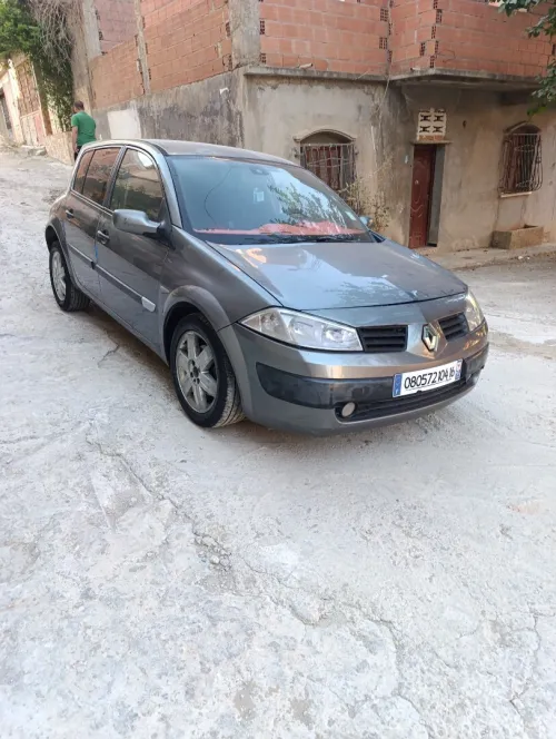 Renault Megane 2 2004 Biri