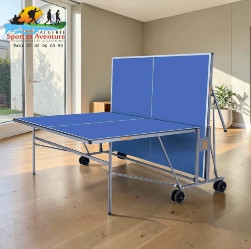 Table de tennis Giant Dragon Power 8017