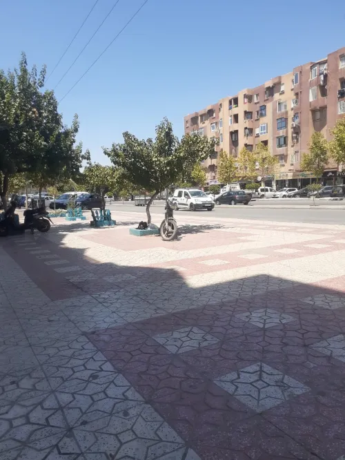 Vente Appartement F3 Sétif Setif
