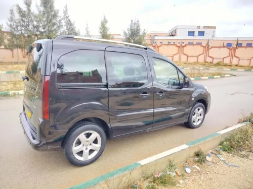 Peugeot Partner 2012 Tepee