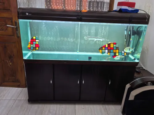 Aquarium 