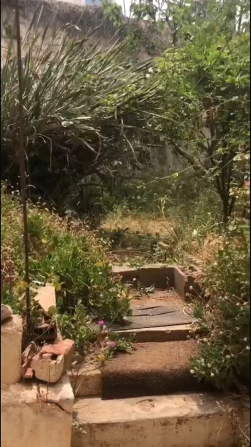 Vente Villa Alger Rais hamidou
