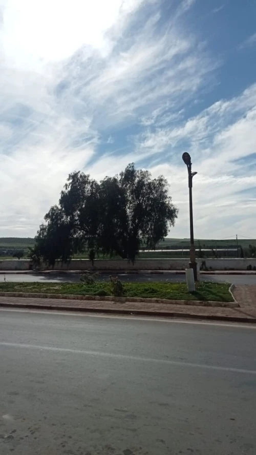 Vente Appartement F3 Aïn Témouchent Sidi ben adda
