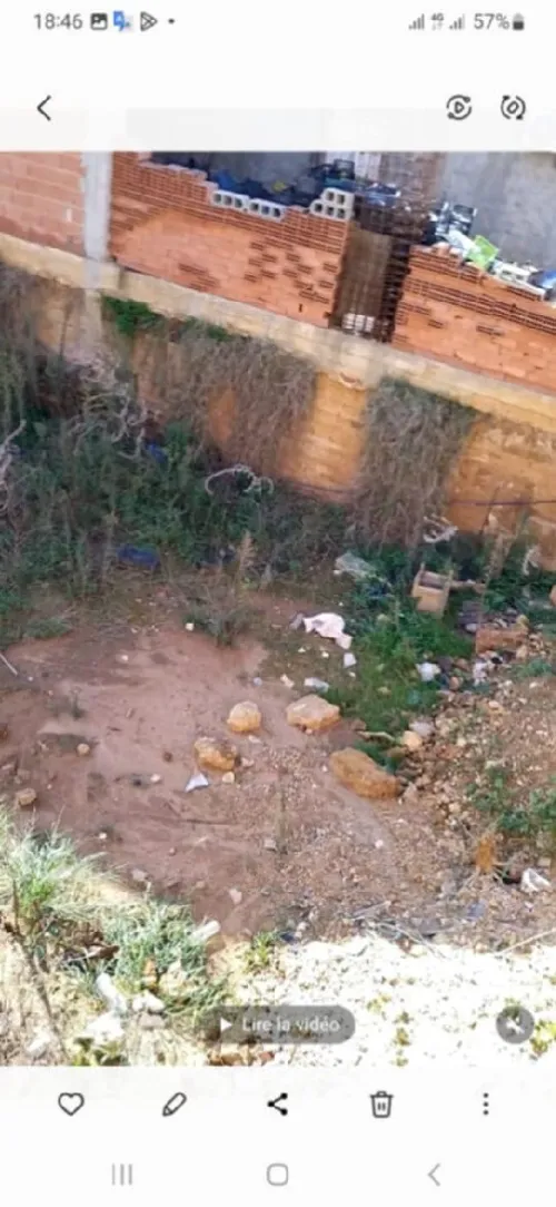 Vente Terrain Alger Douera