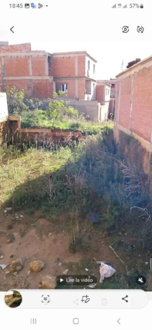 Vente Terrain Alger Douera