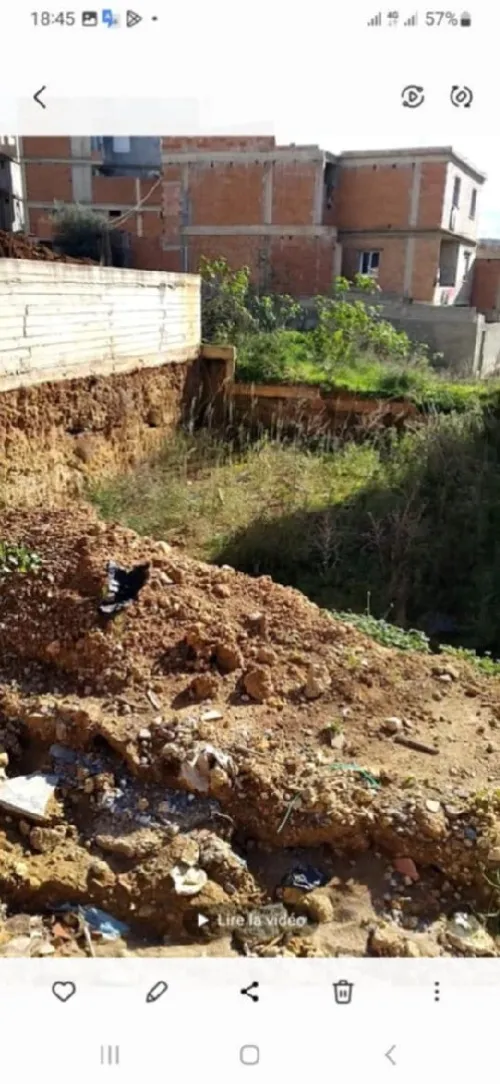 Vente Terrain Alger Douera