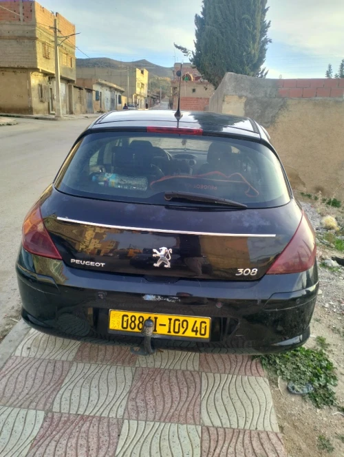 Peugeot 308 2009 Platinum 