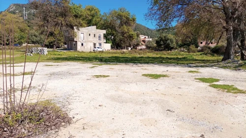 Vente Terrain Jijel Ziama mansouriah