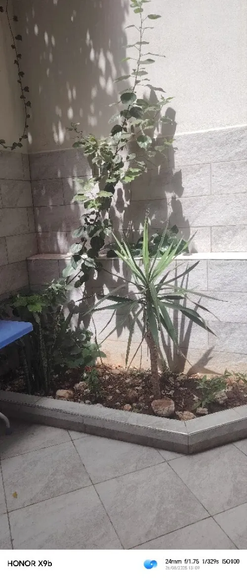 Location vacances Appartement Oran Bir el djir