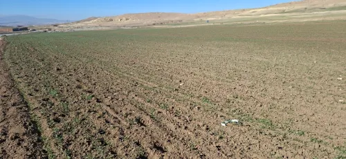 Vente Terrain Agricole Bordj Bou Arreridj El anseur