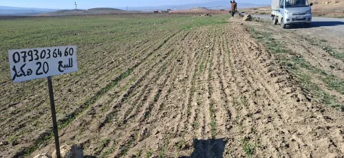 Vente Terrain Agricole Bordj Bou Arreridj El anseur