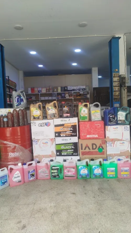 Service Vidang