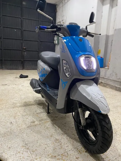 Vms cuxi estat x Cuxi 2021