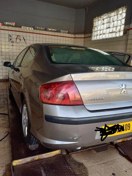 Peugeot 407 2009 407