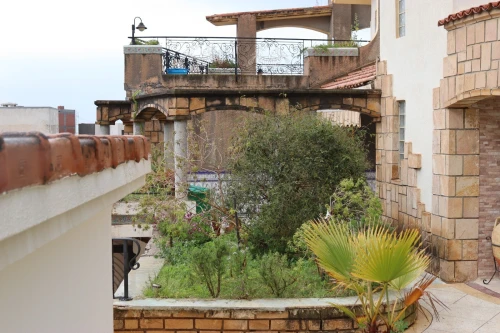 Location Villa Alger Dely brahim