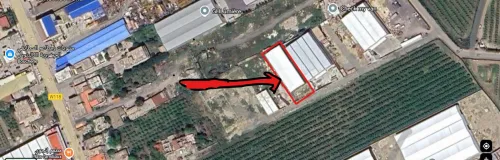 Location Hangar - Usine Alger Les eucalyptus