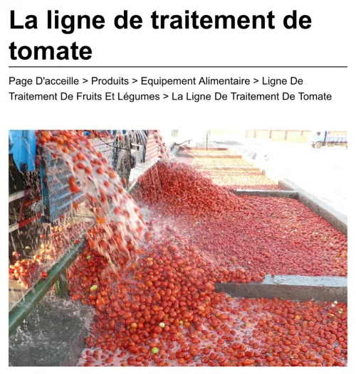 Ligne de production de tomates 