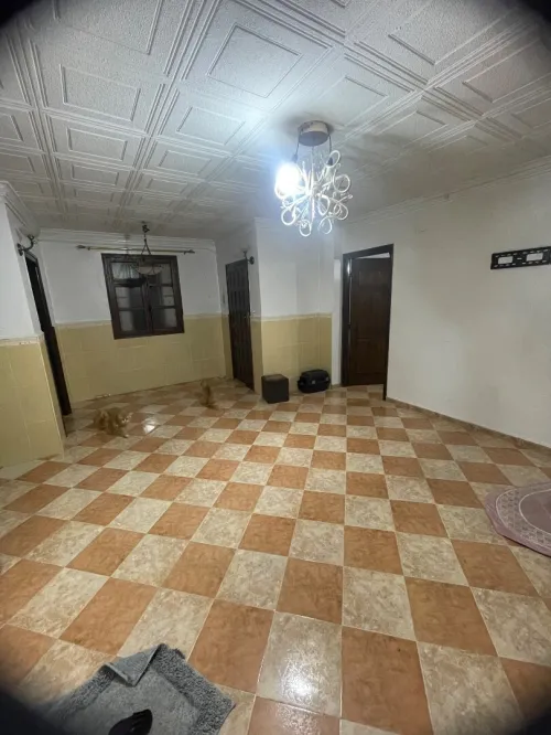 Location Appartement F3 Alger Bab ezzouar