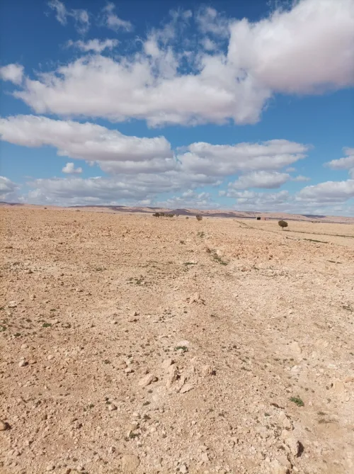 Vente Terrain Agricole Djelfa Tadmit