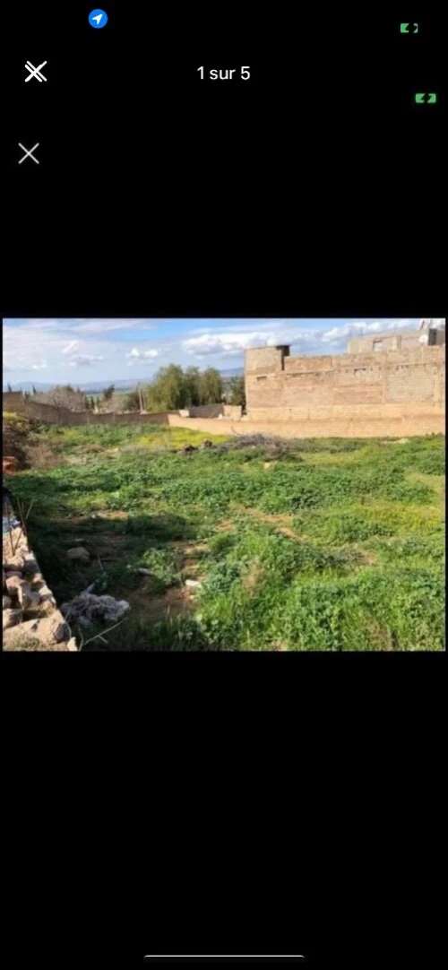 Vente Terrain Tlemcen Tlemcen
