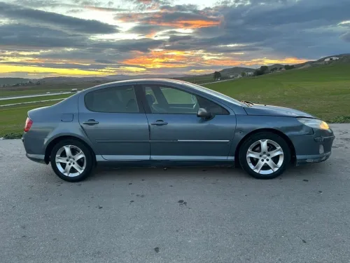 Peugeot 407 2008 