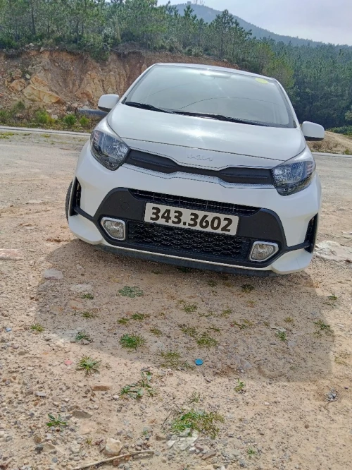 Kia Morning 2023 Standart